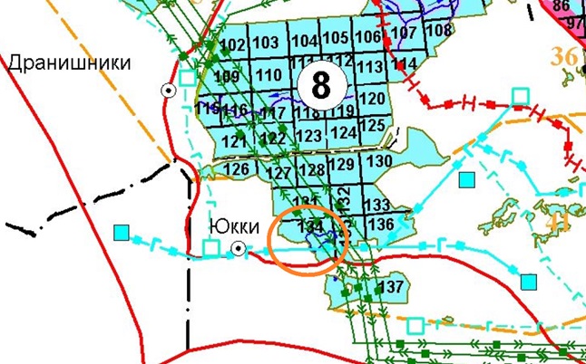 На карте видно, что участки квартала №134 с озером в центре входят в лесничество