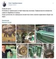 Миниатюра для версии от 11:55, 17 февраля 2020